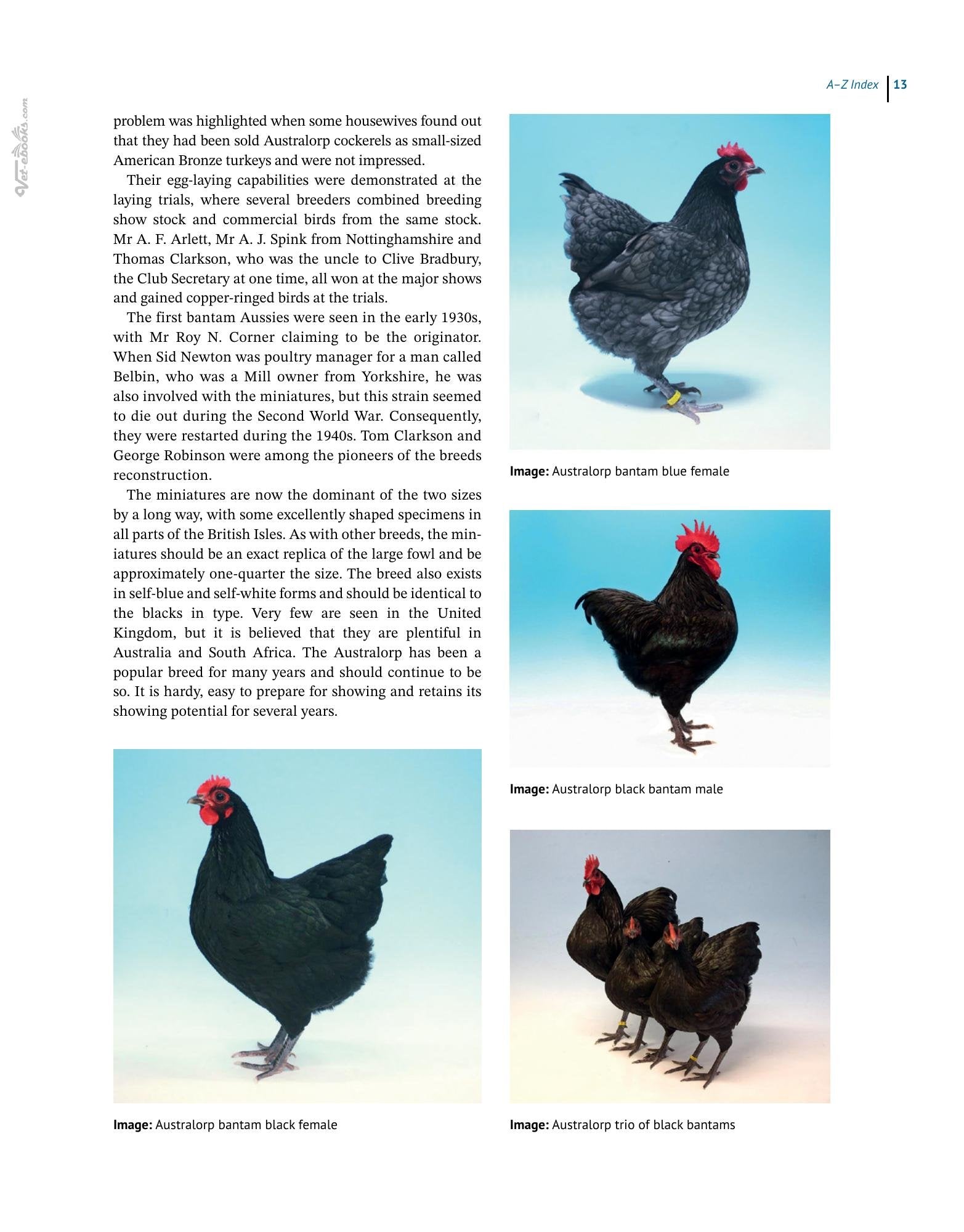 Look inside — page 25