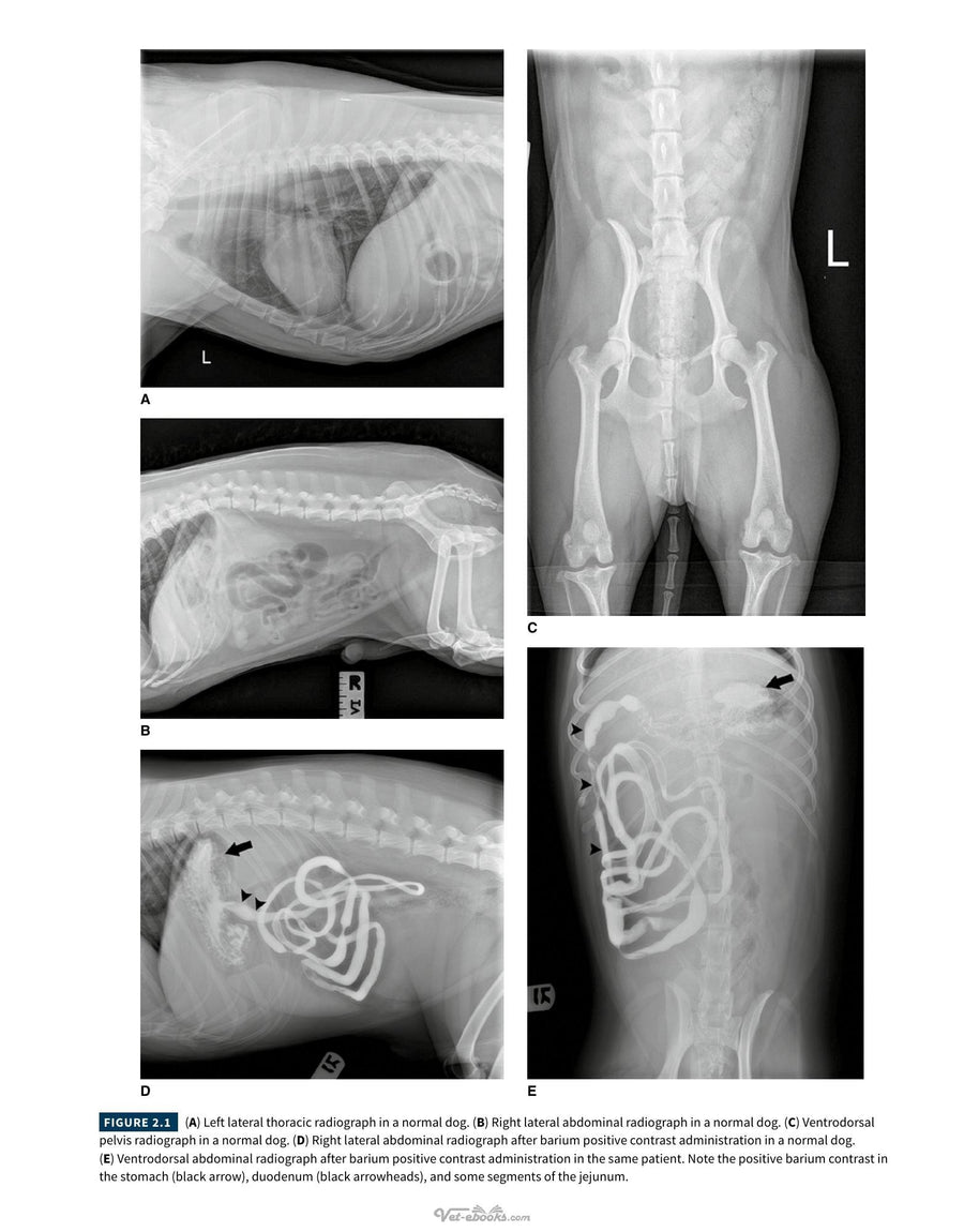 Preview page of Atlas of Small Animal Diagnostic Imaging