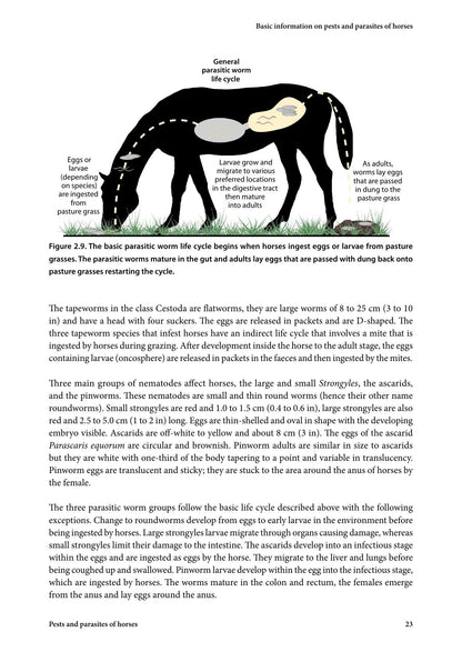 Look inside — page 25