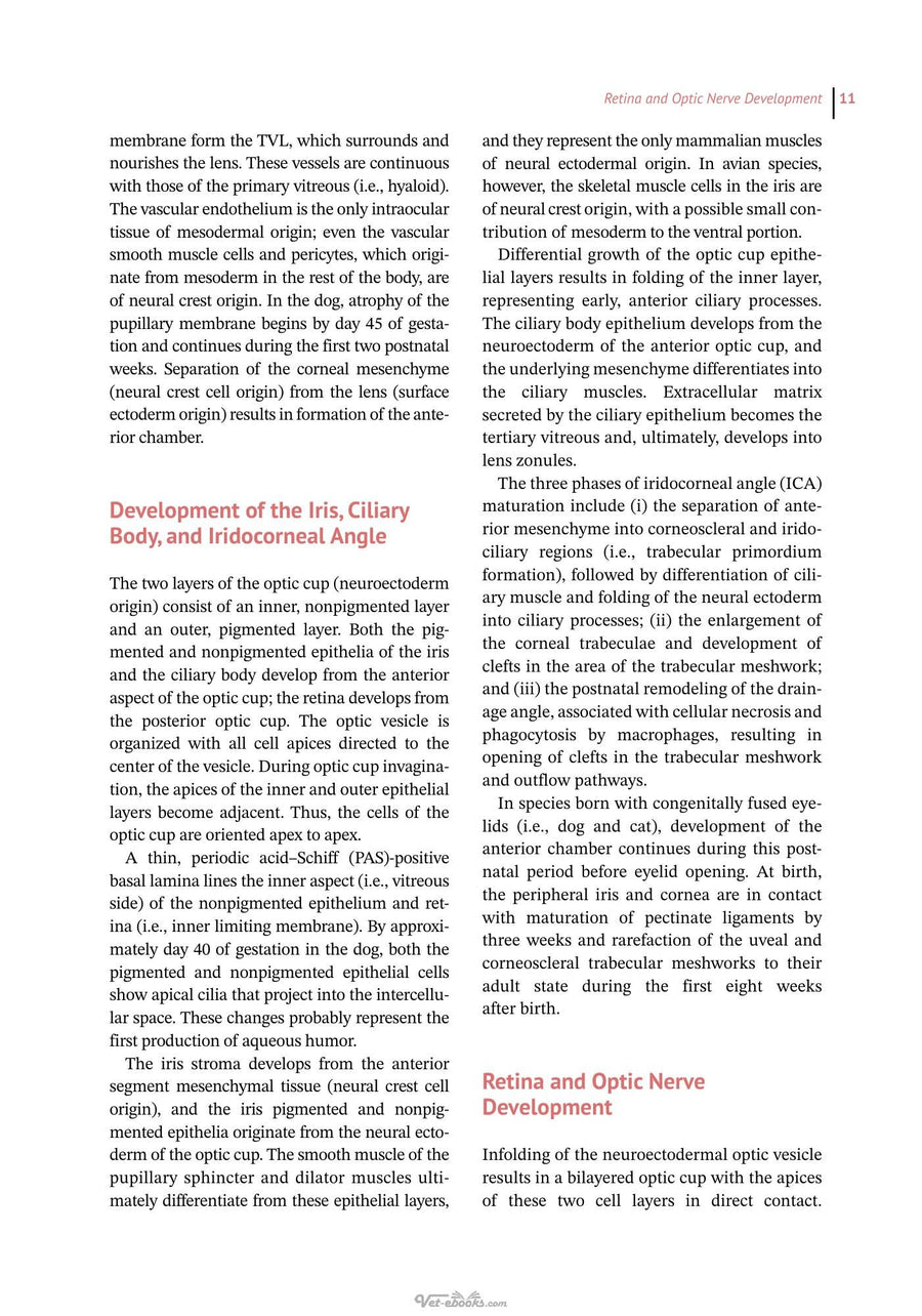 Preview page of Essentials of Veterinary Ophthalmology 4th Edition
