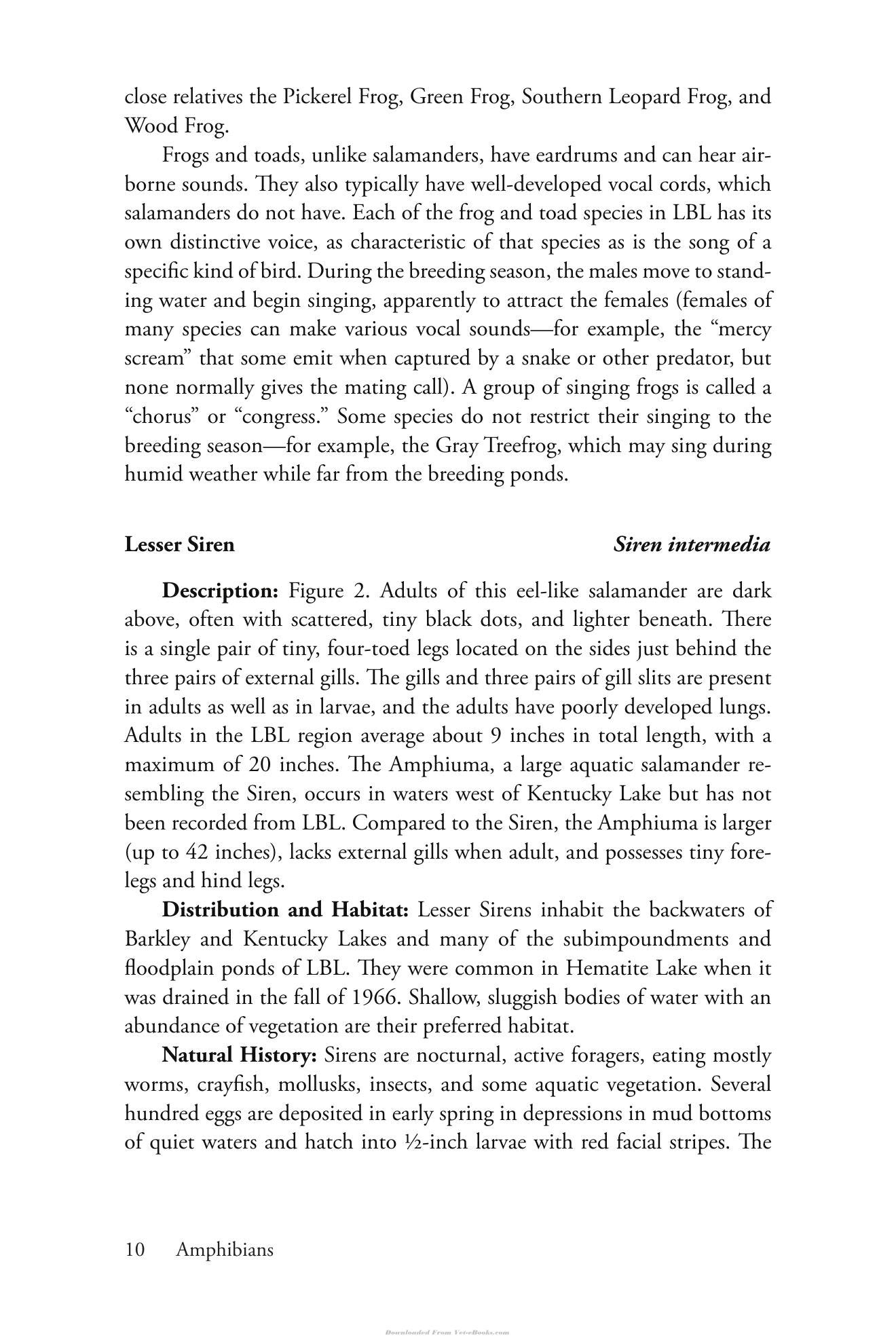 Look inside — page 25