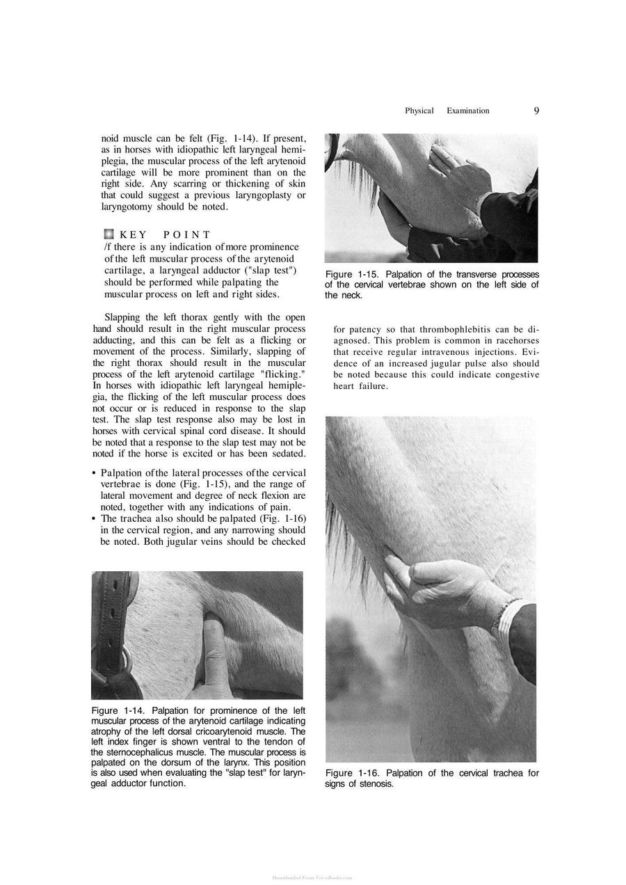 Preview page of Manual of Equine Practice 2nd Edition