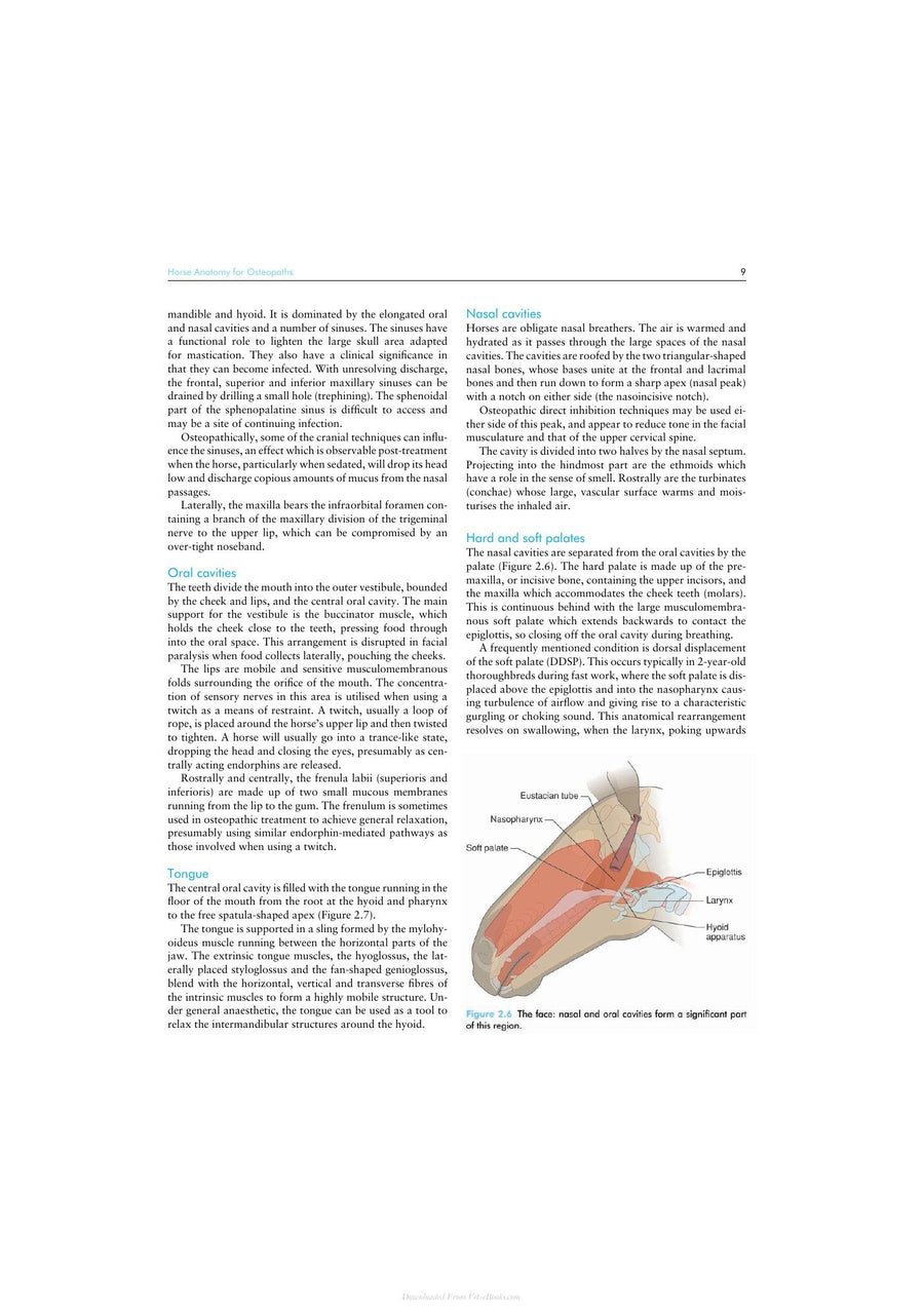 Preview page of Osteopathy and the Treatment of Horses