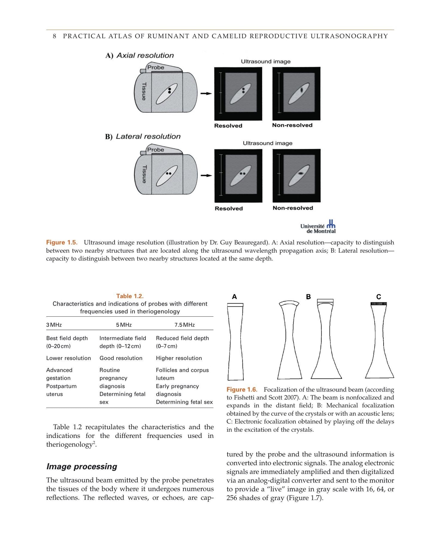 Look inside — page 26