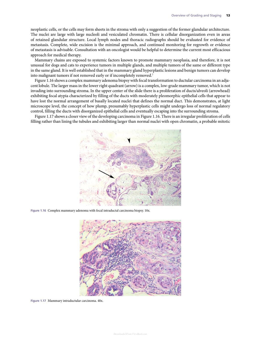 Preview page of Atlas for the Diagnosis of Tumors in the Dog and Cat