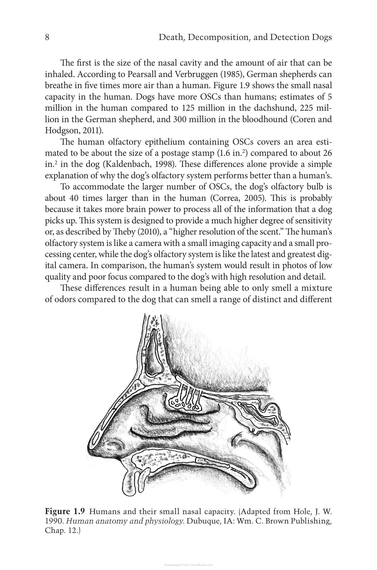 Look inside — page 26