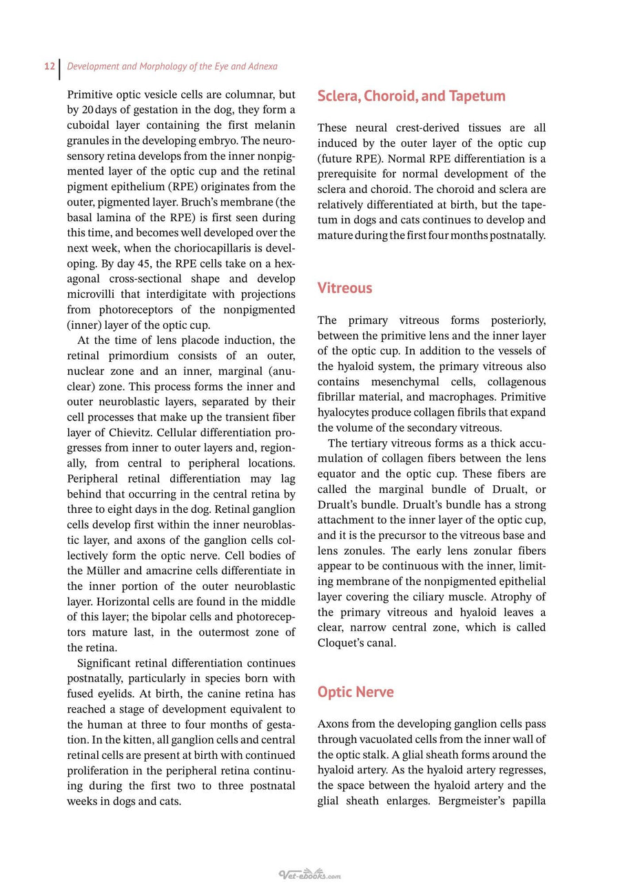 Preview page of Essentials of Veterinary Ophthalmology 4th Edition