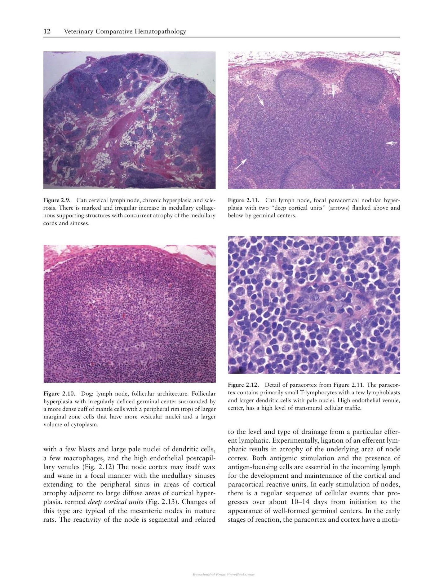 Look inside — page 26