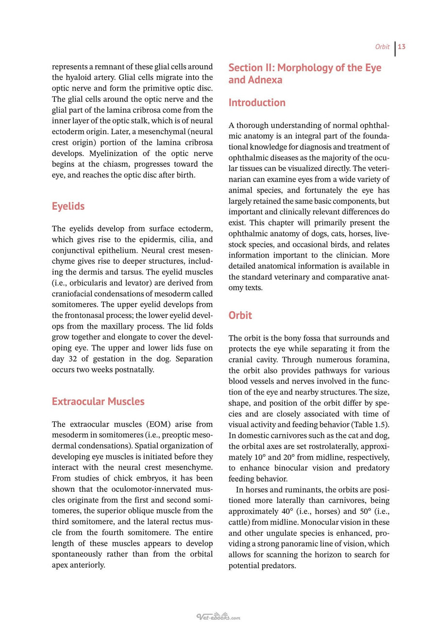 Preview page of Essentials of Veterinary Ophthalmology 4th Edition