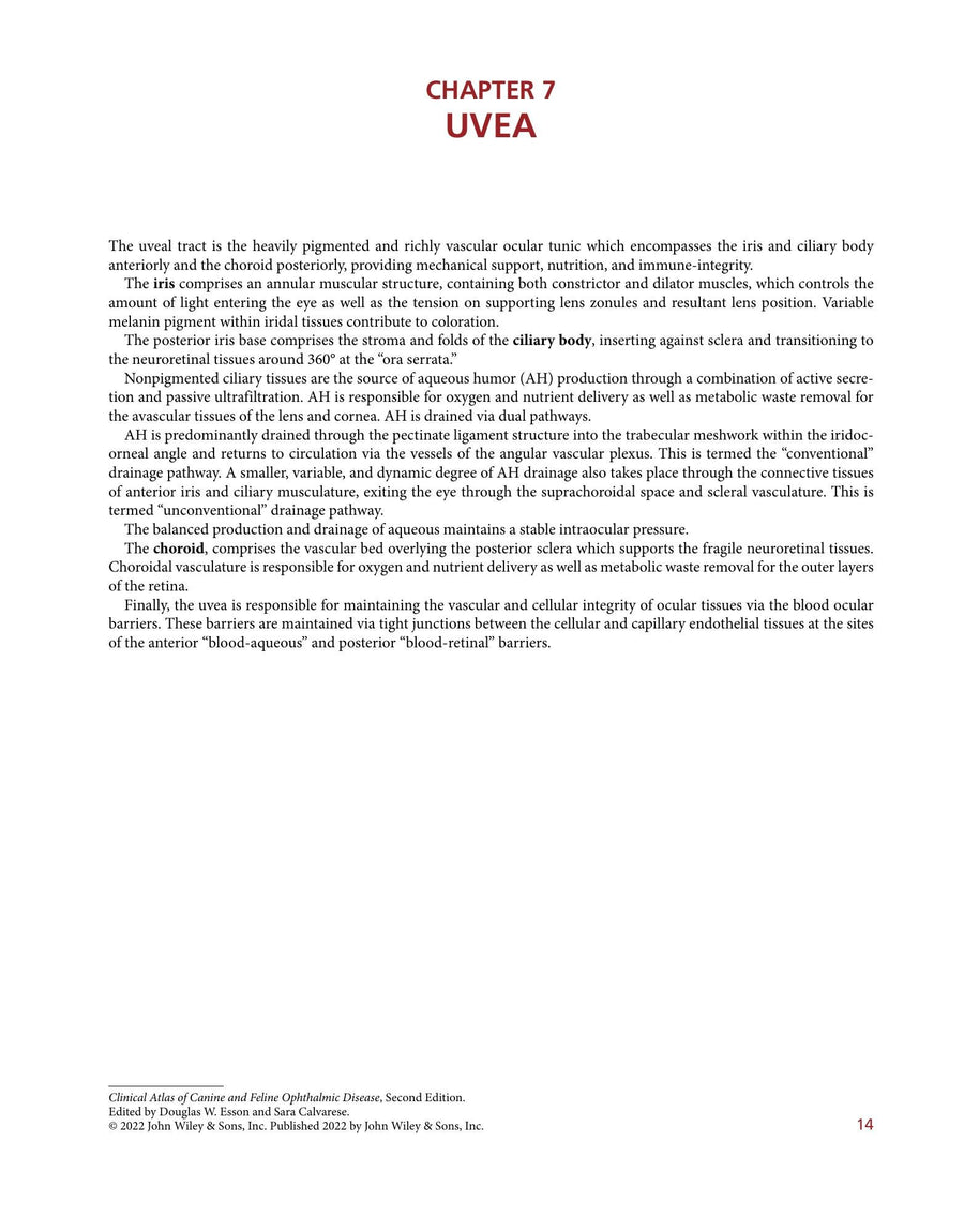 Preview page of Clinical Atlas of Canine and Feline Ophthalmic Disease 2nd Edition