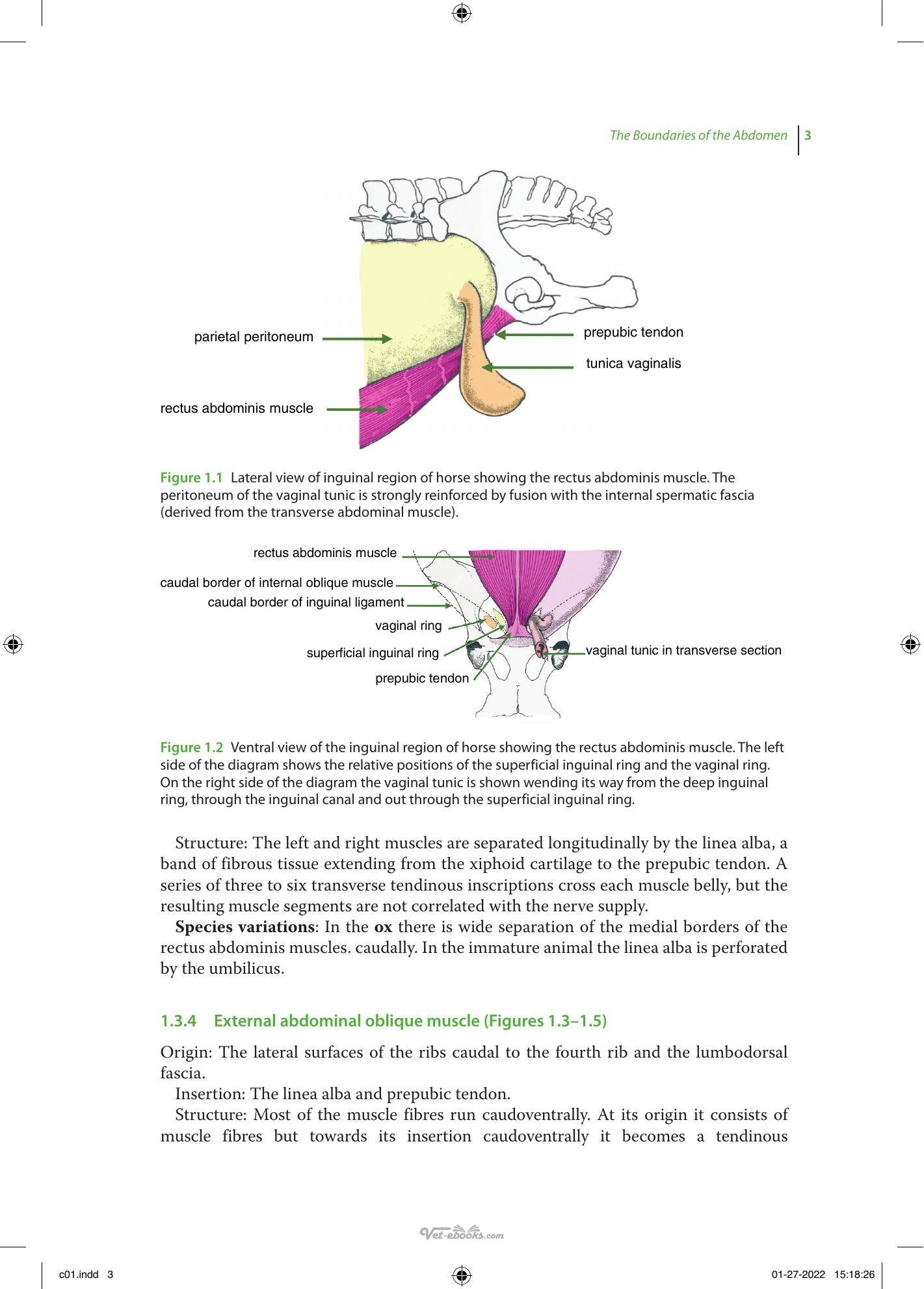 Look inside — page 28