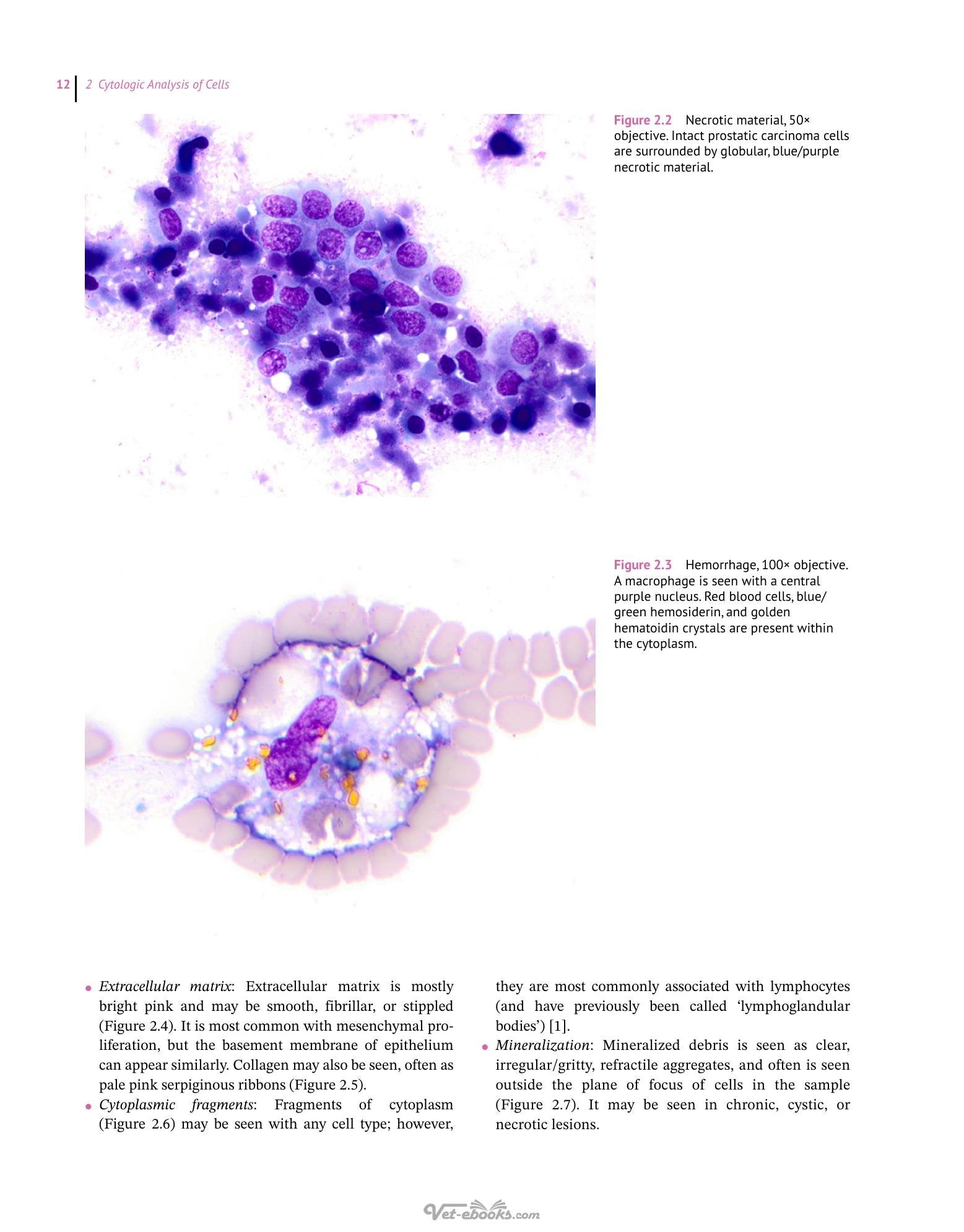 Look inside — page 28