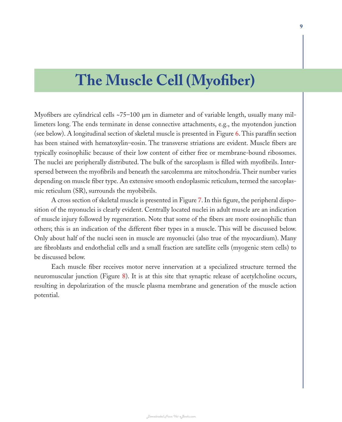 Skeletal Muscle and Muscular Dystrophy a Visual Approach