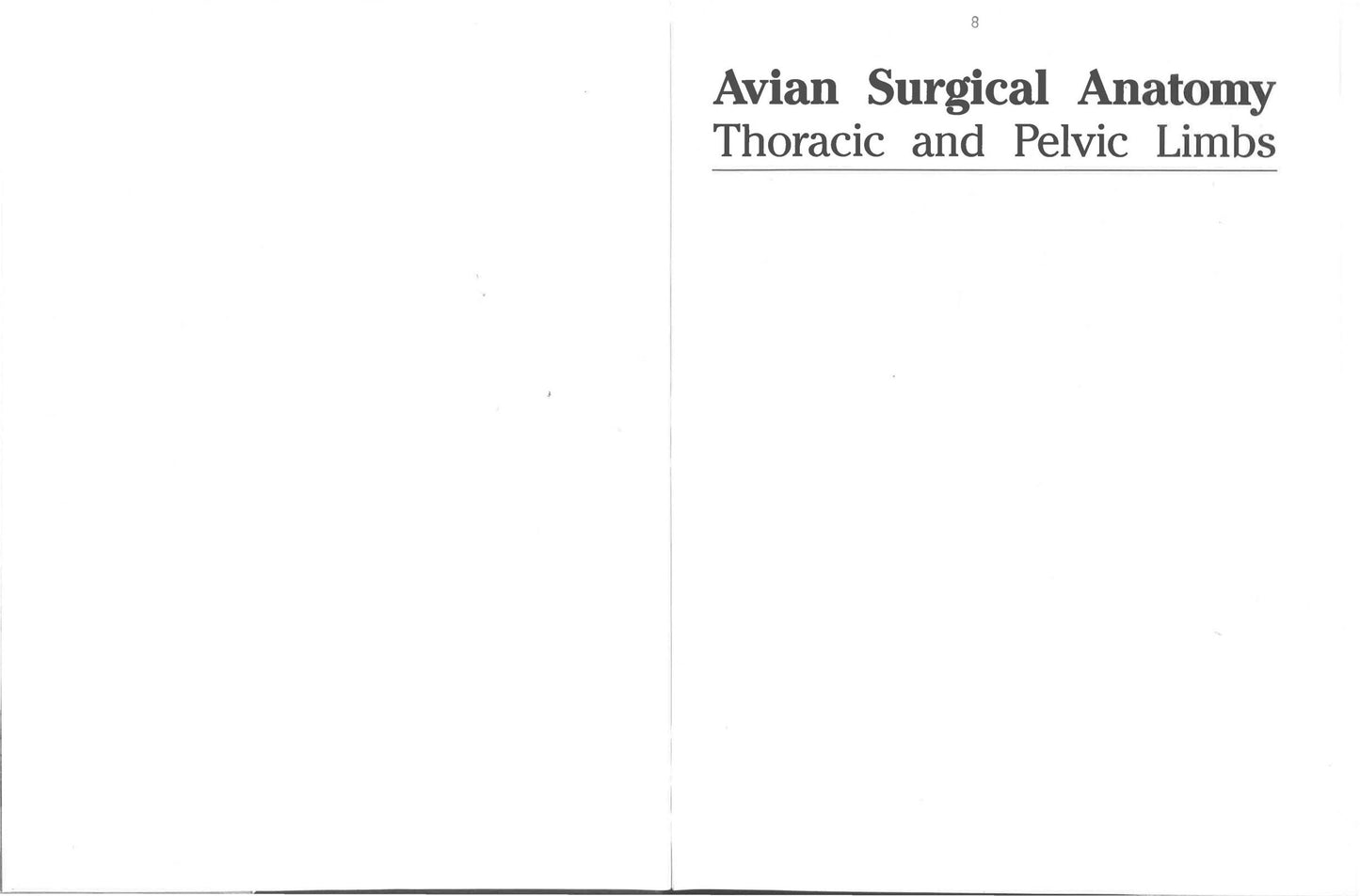 Avian Surgical Anatomy Thoracic And Pelvic Limbs