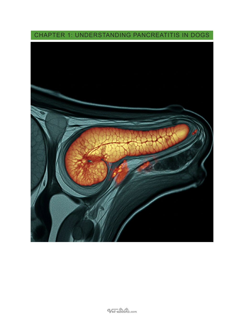 Look Inside page 9 - Pancreatitis In Dogs Healing Simplified