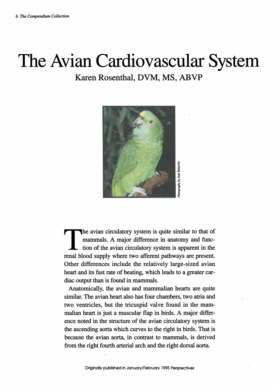 Look Inside page 7 - Practical Avian Medicine: The Compendium Collection
