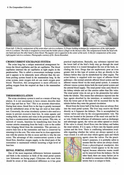 Look Inside page 9 - Practical Avian Medicine: The Compendium Collection