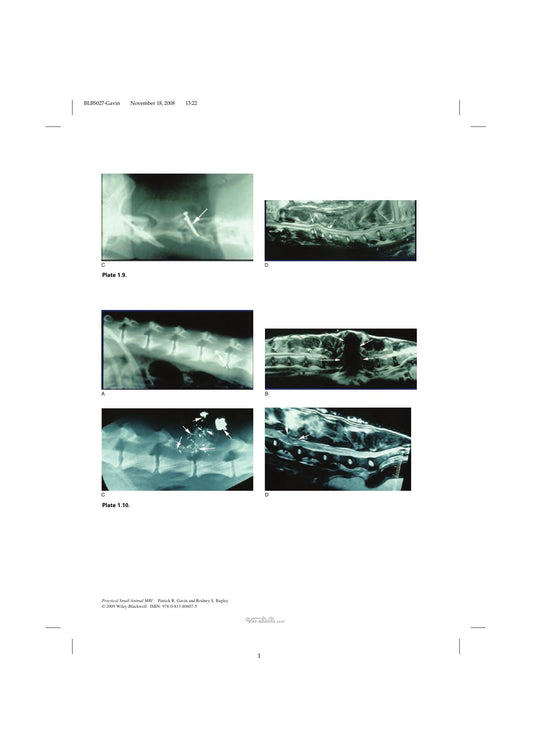 Look Inside page 10 - Practical Small Animal Mri