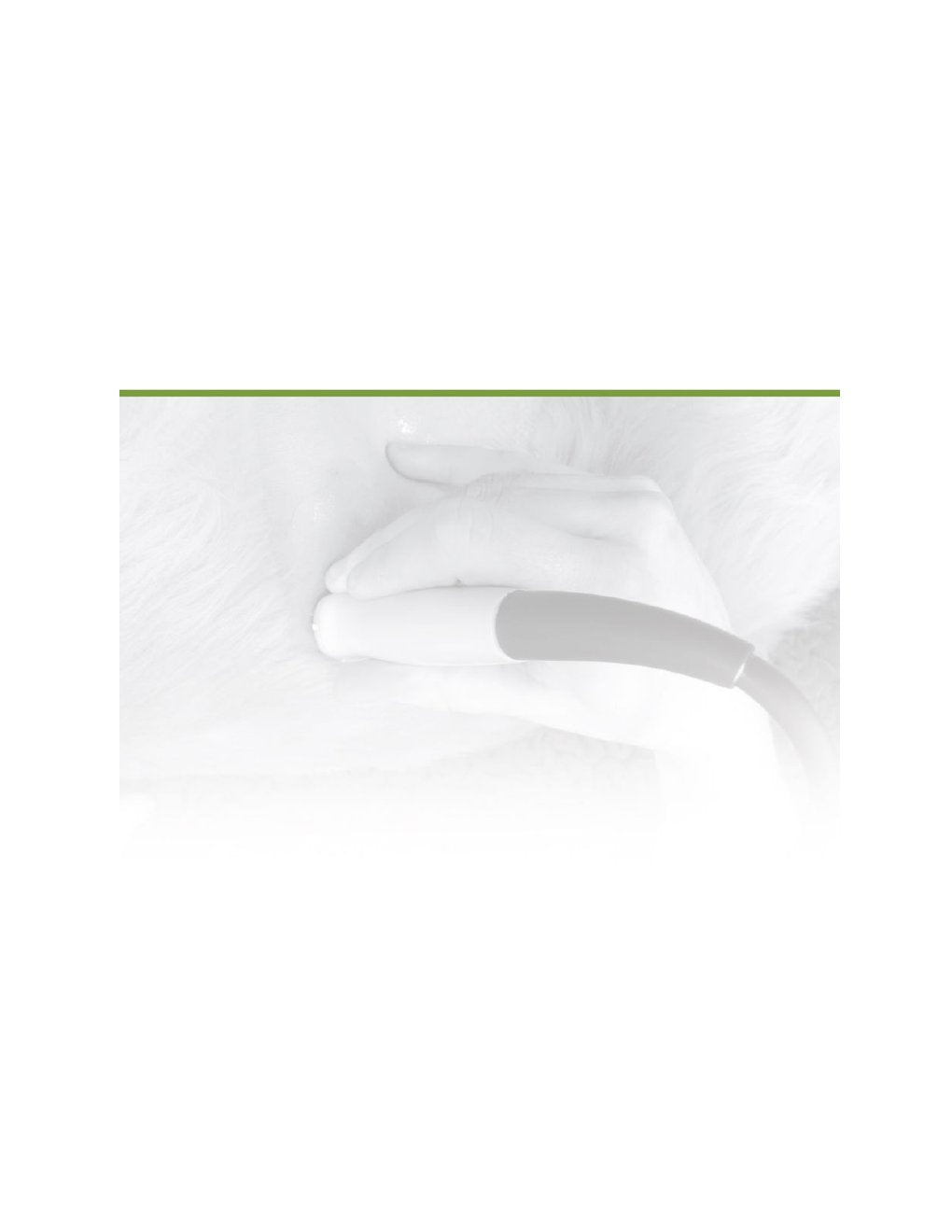 Look Inside page 10 - Practical Small Animal Ultrasonography Abdomen