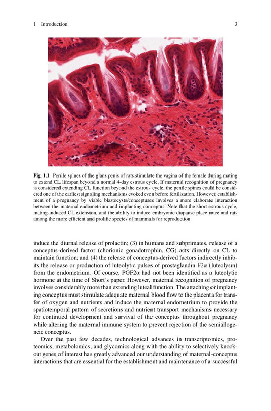 Look Inside page 10 - Regulation Of Implantation And Establishment Of Pregnancy In Mammals