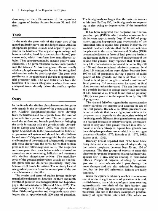 Look Inside page 8 - Reproductive Pathology Of Domestic Mammals