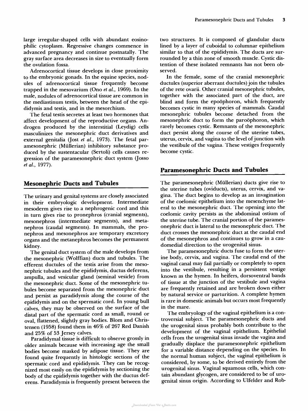 Look Inside page 9 - Reproductive Pathology Of Domestic Mammals
