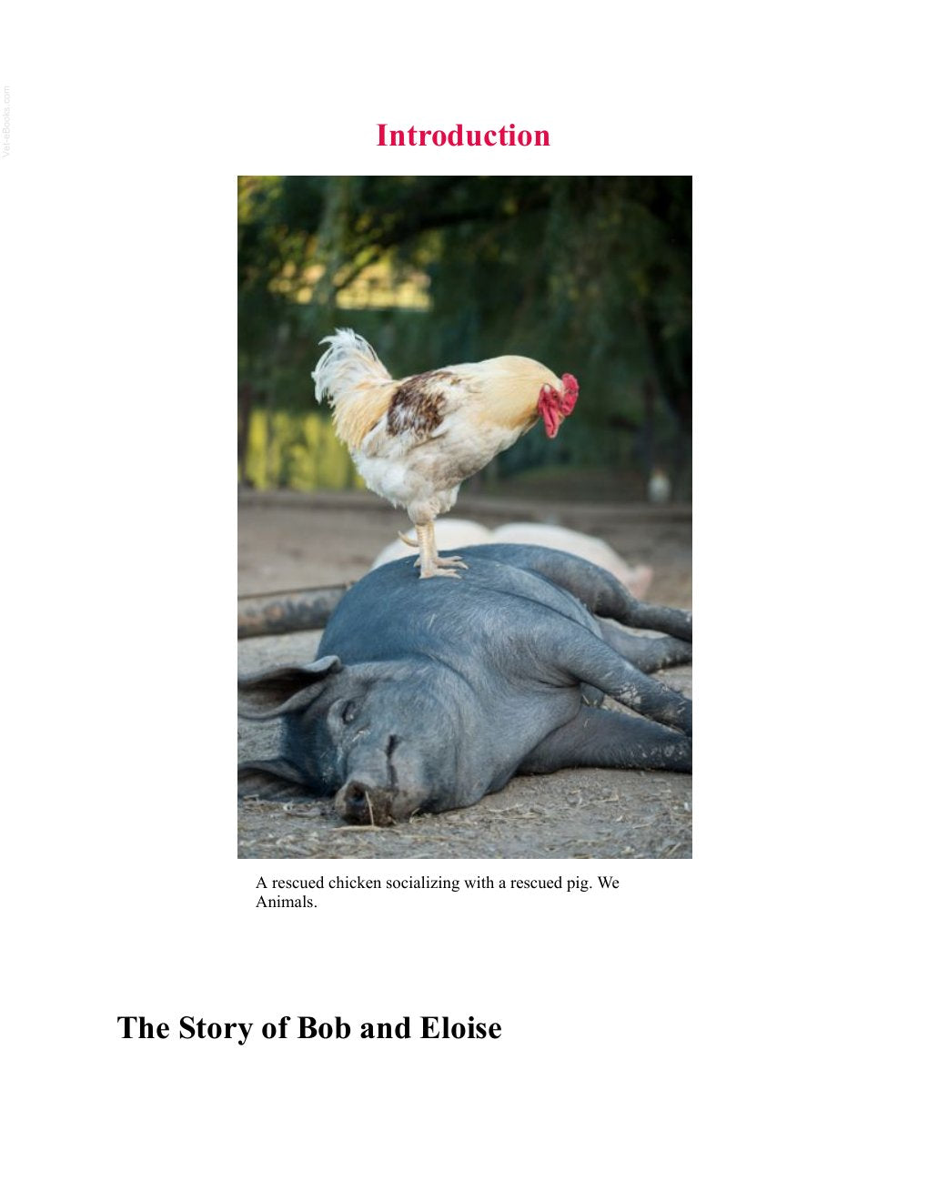 Look Inside page 10 - Saving Animals Multispecies Ecologies Of Rescue And Care