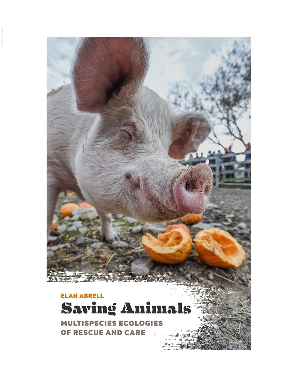 Look Inside page 2 - Saving Animals Multispecies Ecologies Of Rescue And Care