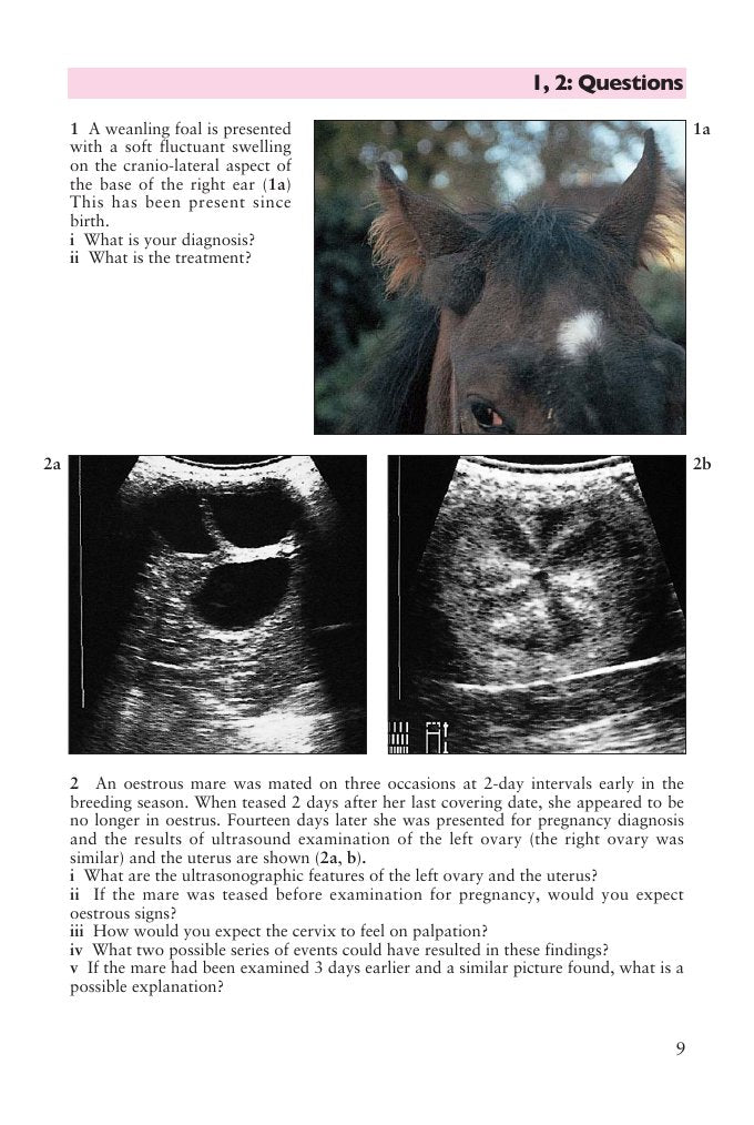 Look Inside page 10 - Self Assessment Colour Review Of Equine Reproduction And Stud Medicine