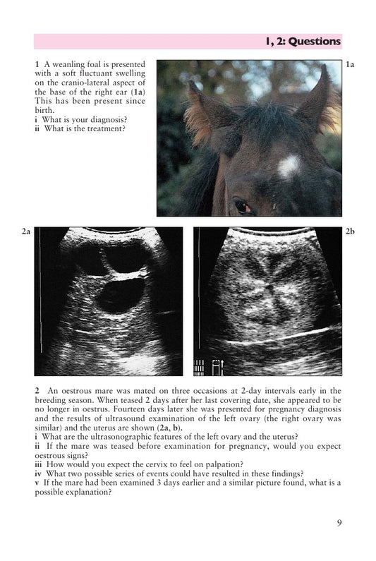 Look Inside page 10 - Self Assessment Colour Review Of Equine Reproduction And Stud Medicine