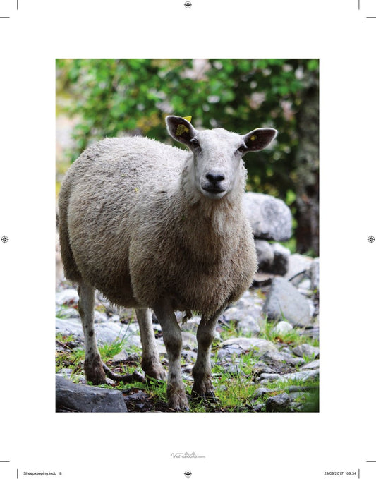 Look Inside page 9 - Sheep Keeping The Professional Smallholder Series