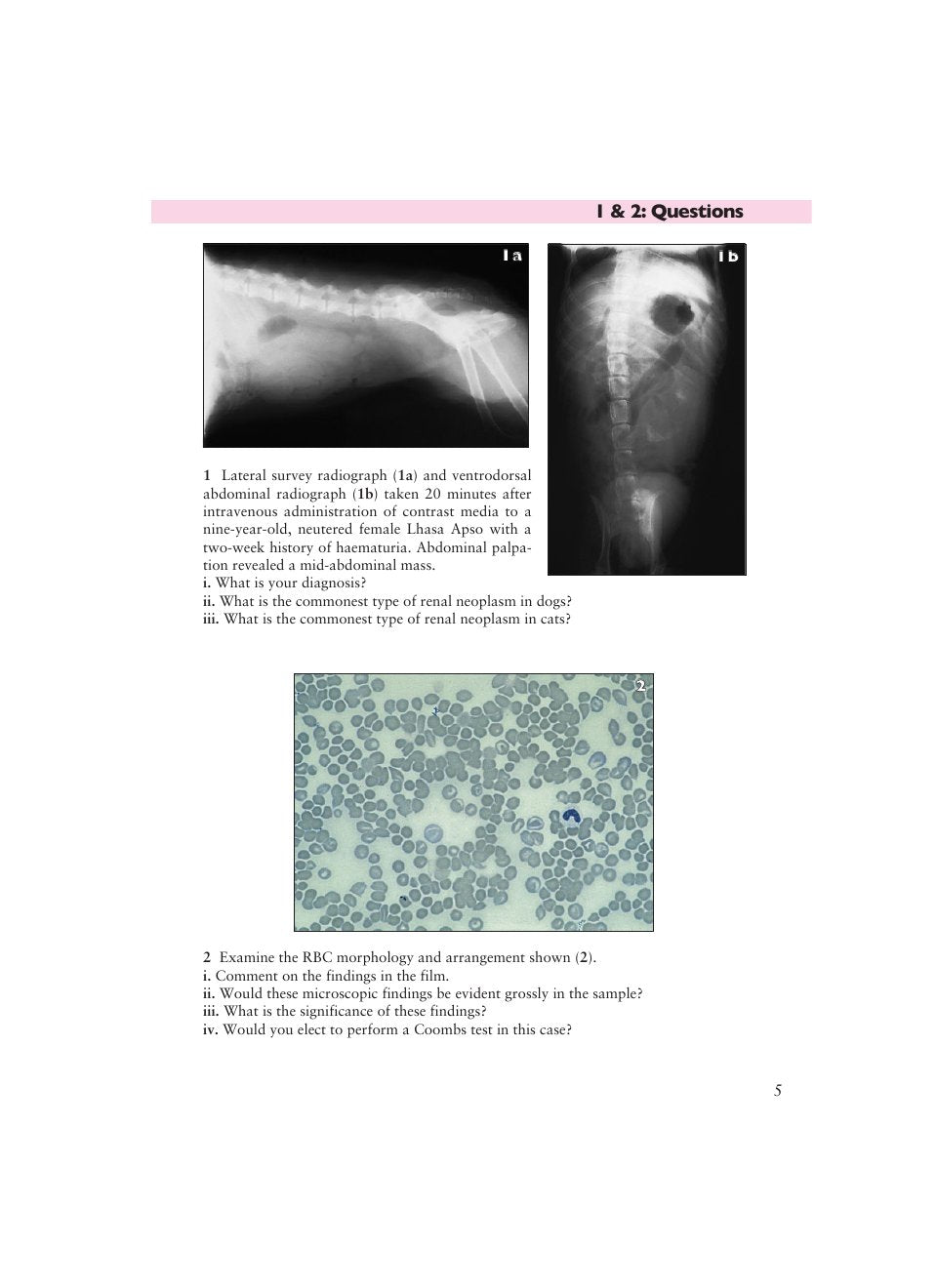 Look Inside page 7 - Small Animal Abdominal Metabolic Disorders Self Assessment Color Review