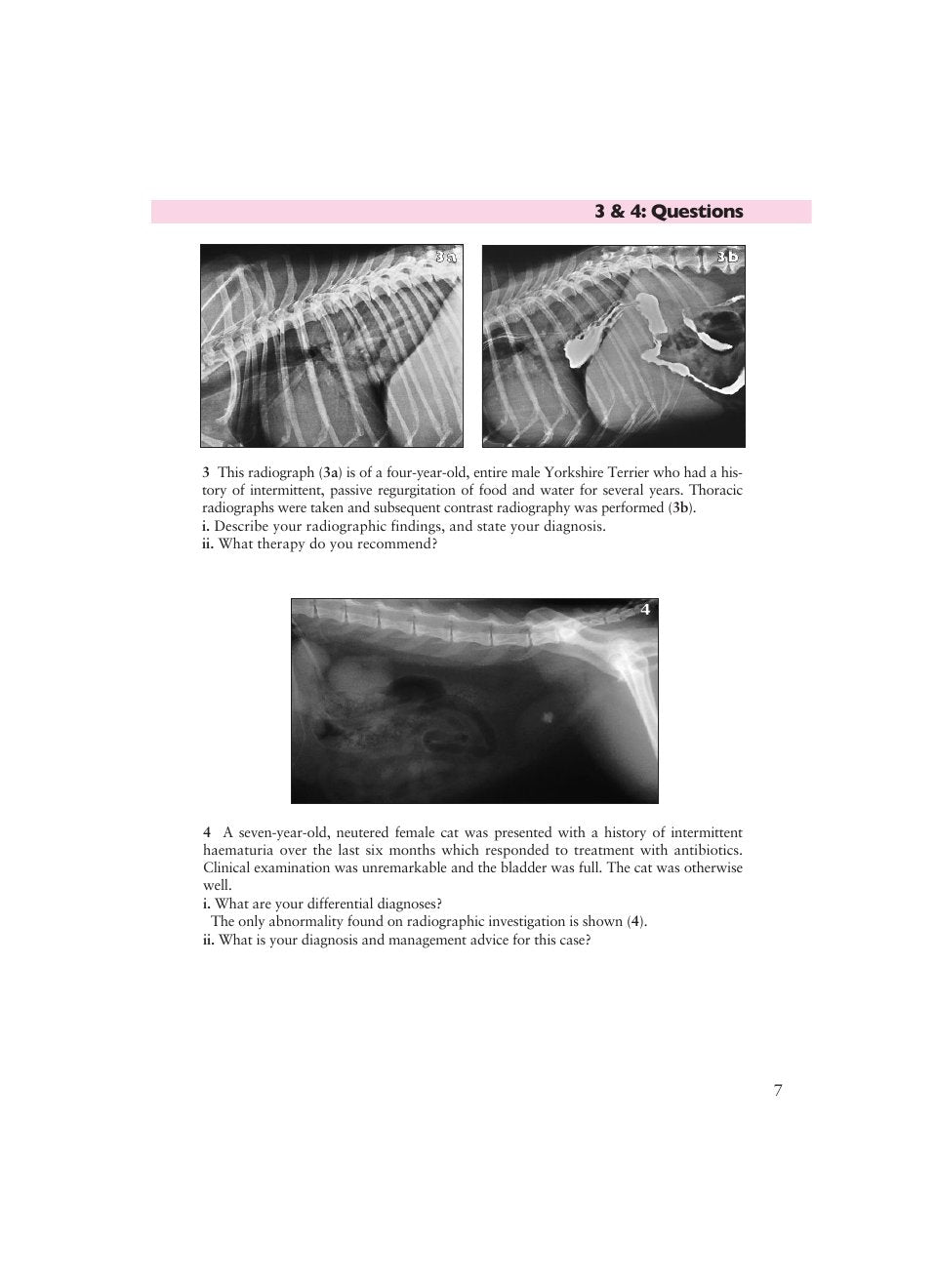 Look Inside page 9 - Small Animal Abdominal Metabolic Disorders Self Assessment Color Review