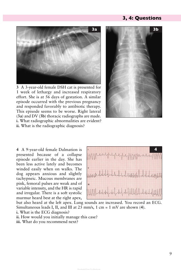 Look Inside page 10 - Small Animal Cardiopulmonary Medicine Self Assessment Color Review