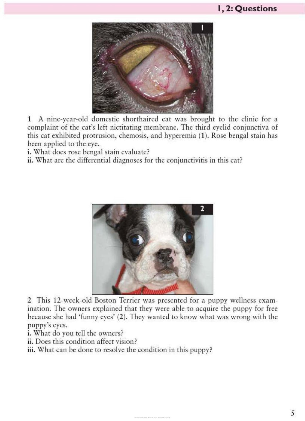 Look Inside page 6 - Small Animal Ophthalmology Self Assessment Color Review