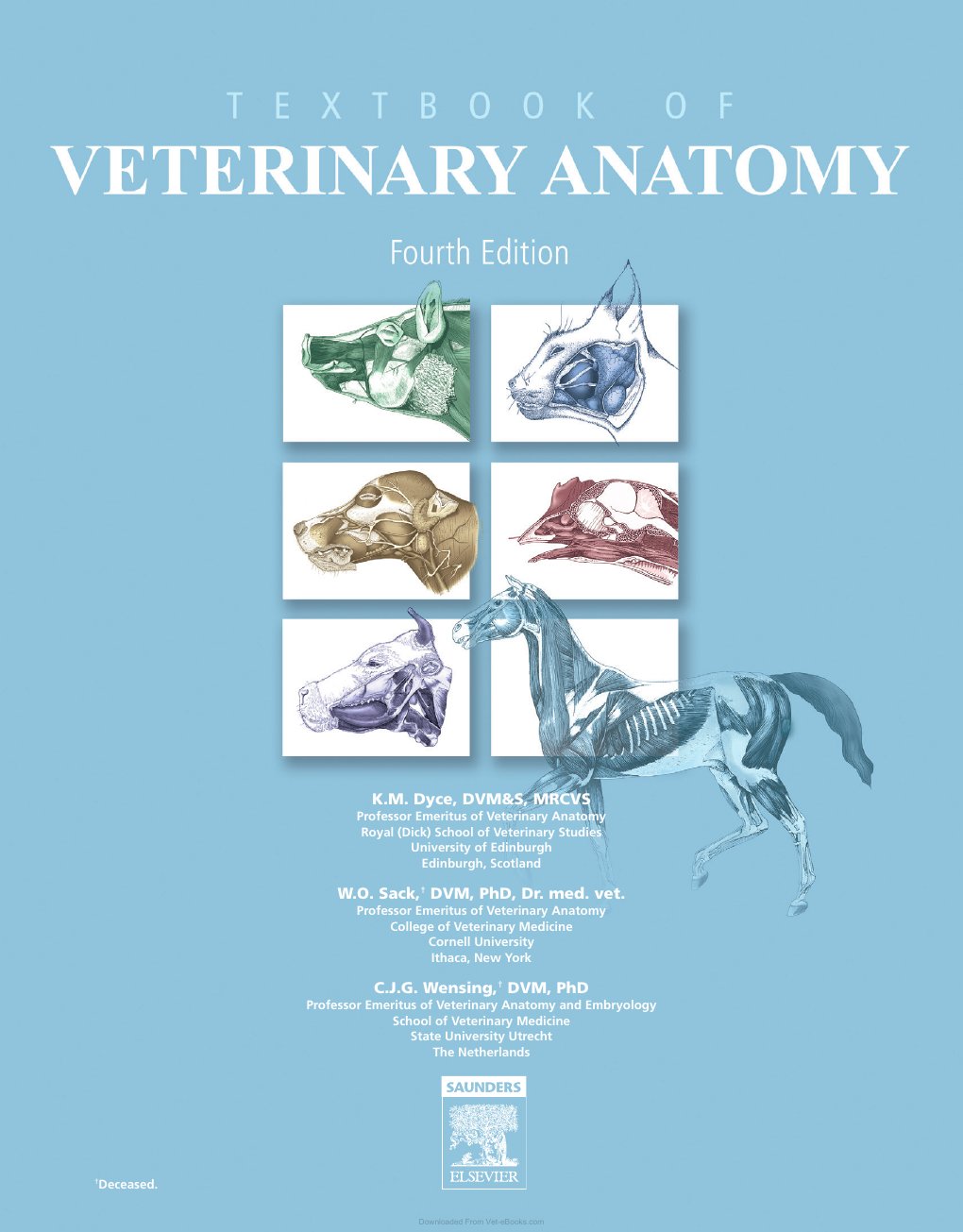 Look Inside page 4 - Textbook Of Veterinary Anatomy 4Th Edition