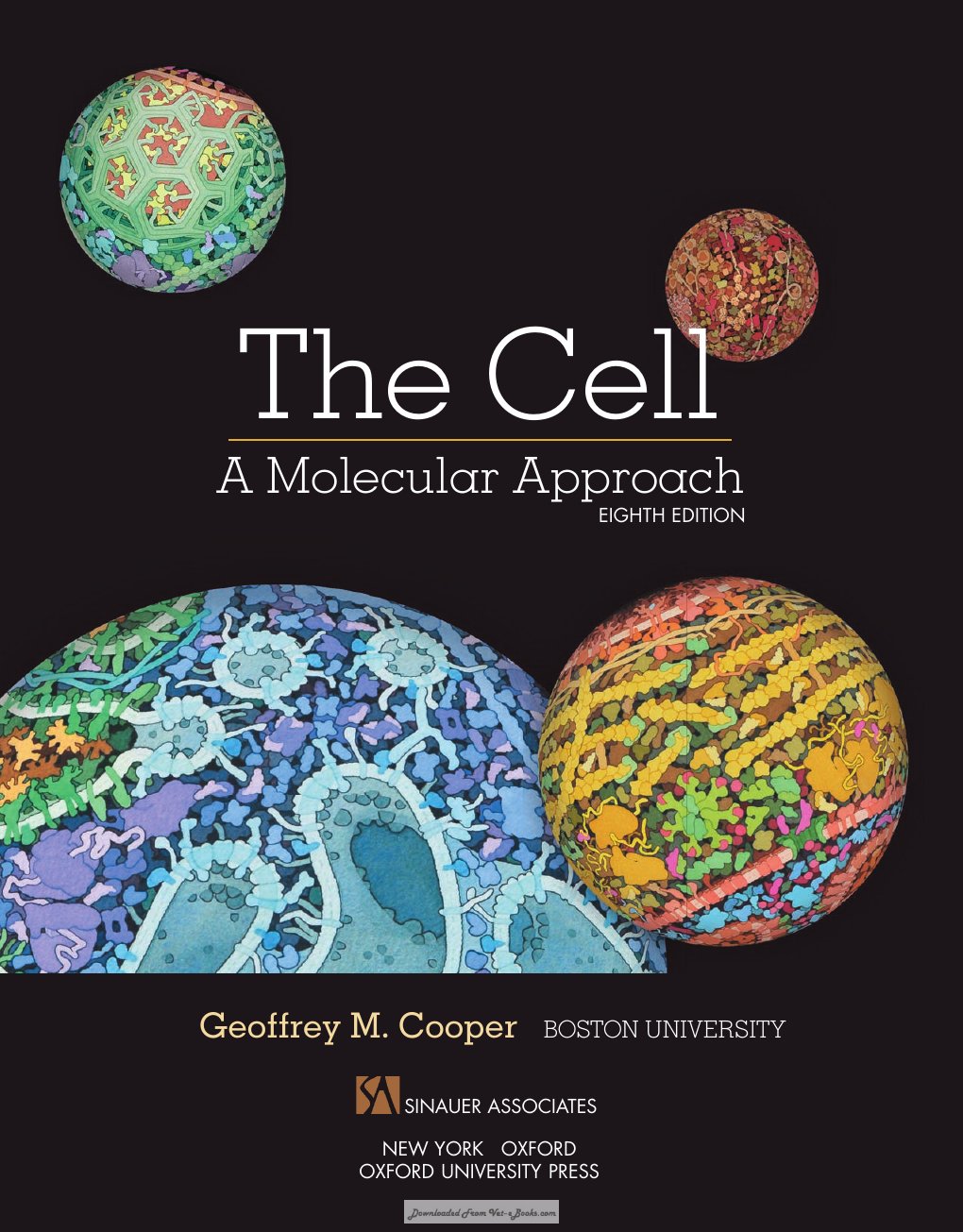 Look Inside page 4 - The Cell A Molecular Approach 8Th Edition