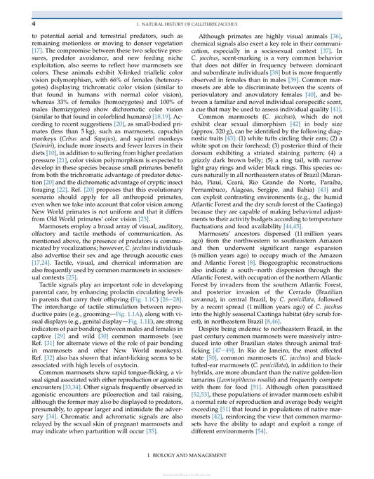 Look Inside page 10 - The Common Marmoset In Captivity And Biomedical Research