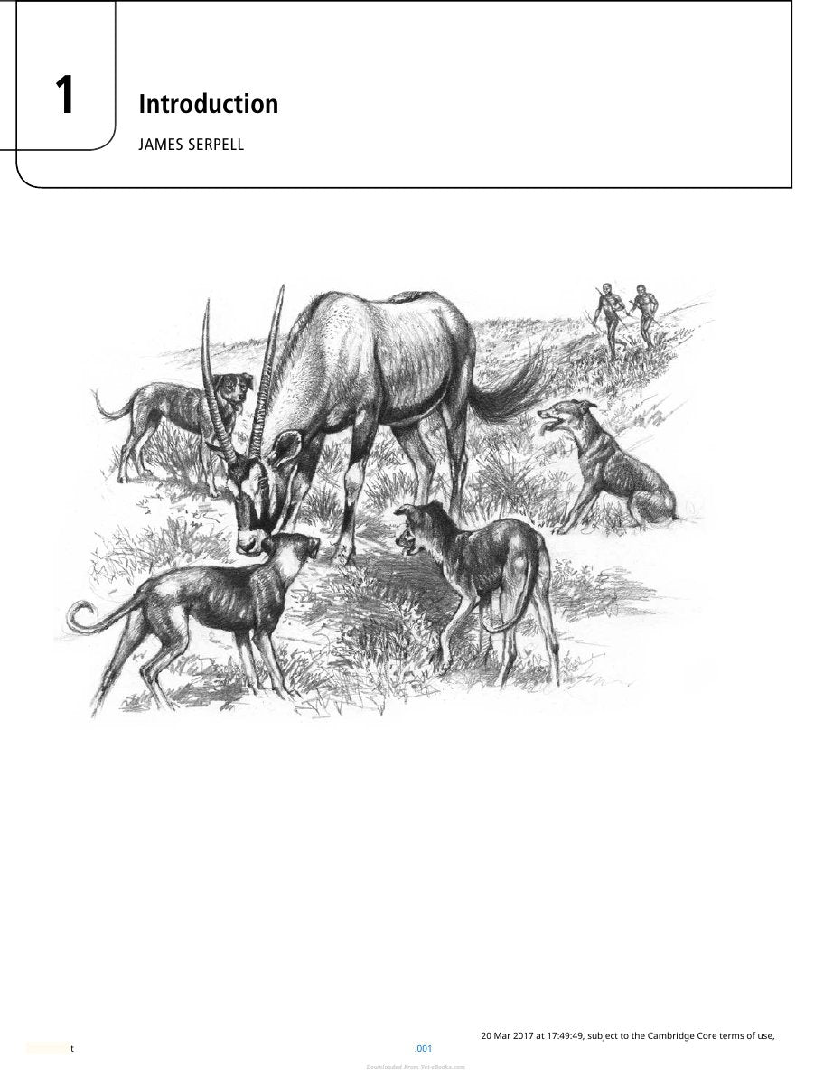 Look Inside page 9 - The Domestic Dog Its Evolution Behavior And Interactions With People 2Nd Edition