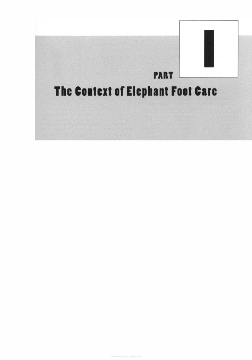 Look Inside page 8 - The Elephant's Foot, Prevention and Care of Foot Conditions in Captive Asian and African Eleph