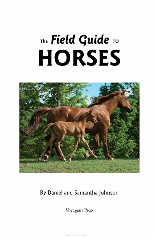 Look Inside page 2 - The Field Guide To Horses