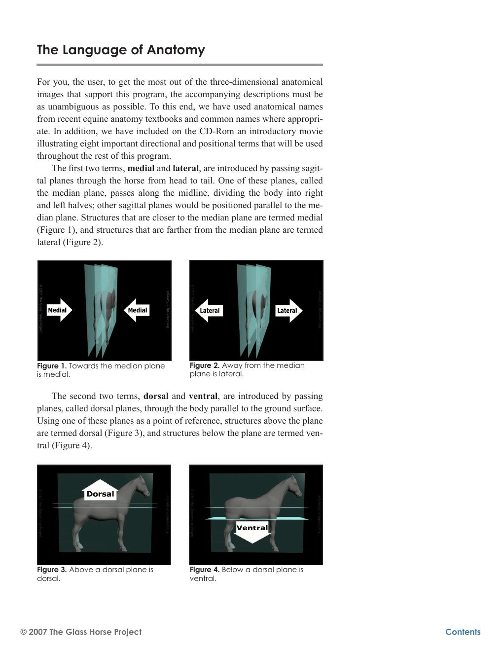 Look Inside page 7 - The Glass Horse Equine Colic Supplemental Text And Interactive Cd
