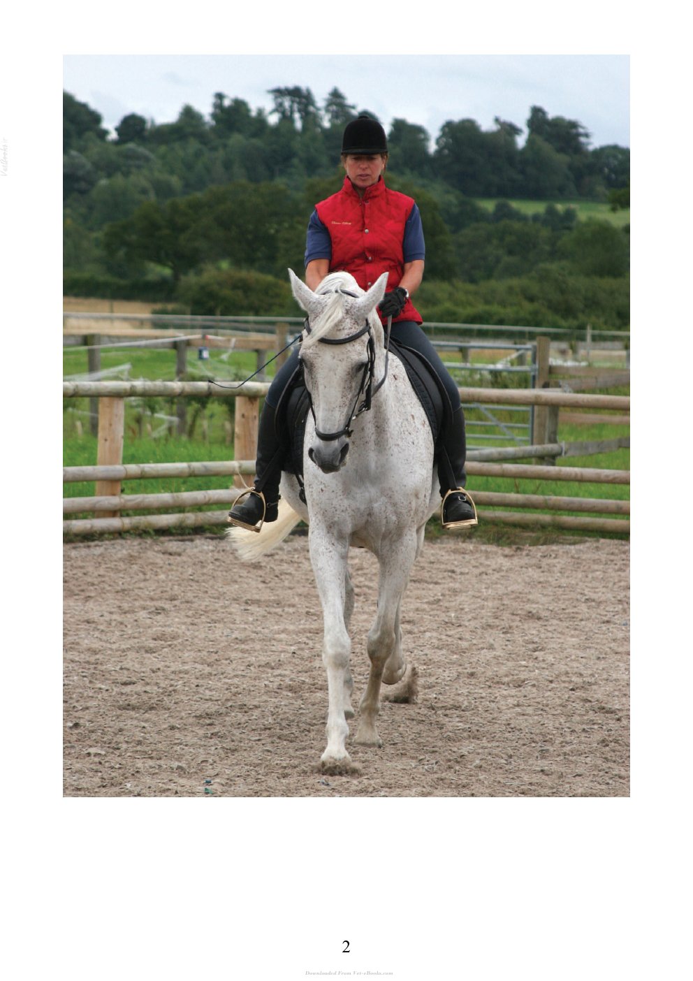 Look Inside page 3 - The Psychology Of Horsemanship Understanding The Horse And You