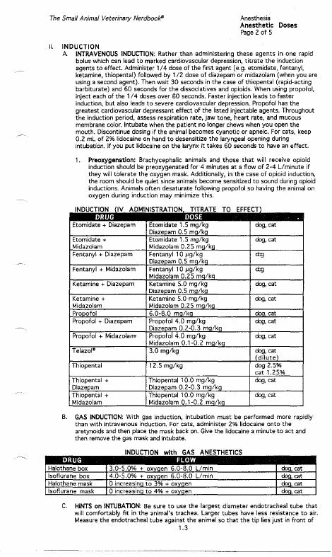 Look Inside page 6 - The Small Animal Veterinary Nerdbook