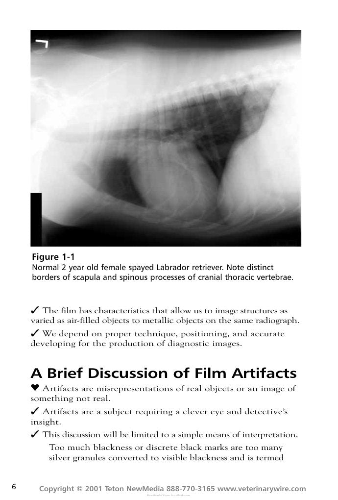 Look Inside page 7