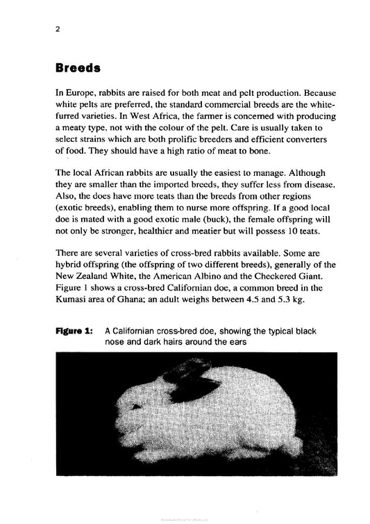 Look Inside page 9 - Try The Rabbit A Practical Guide