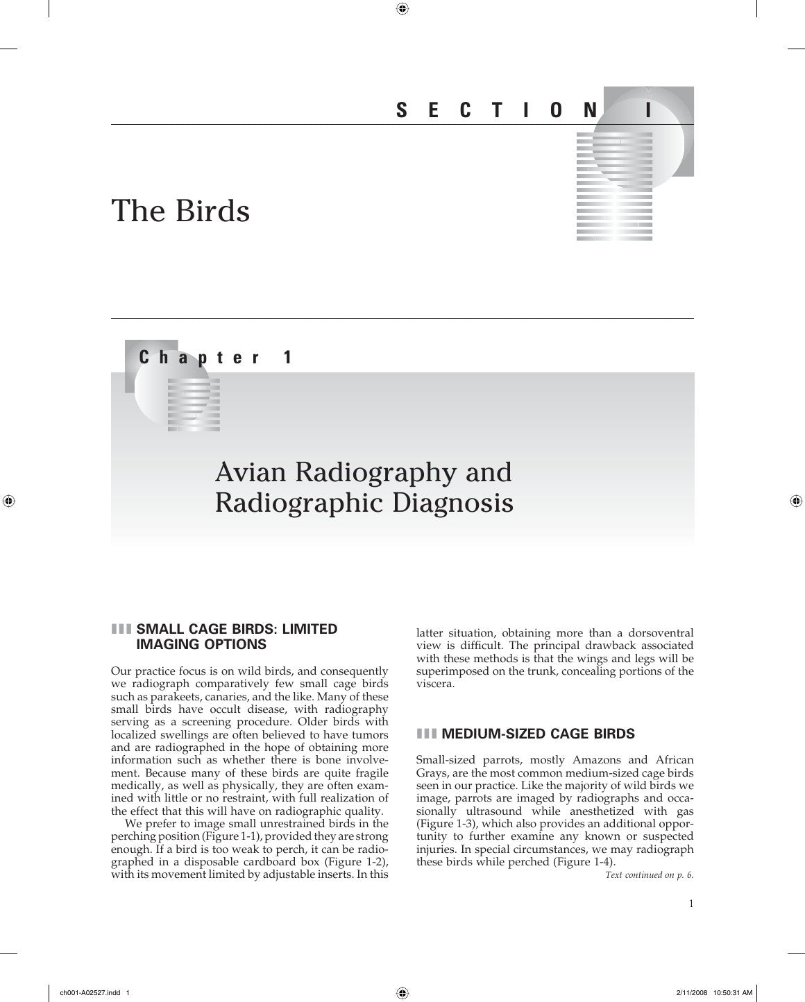 Look Inside page 4 - Veterinary Diagnostic Imaging Birds Exotic Pets And Wildlife
