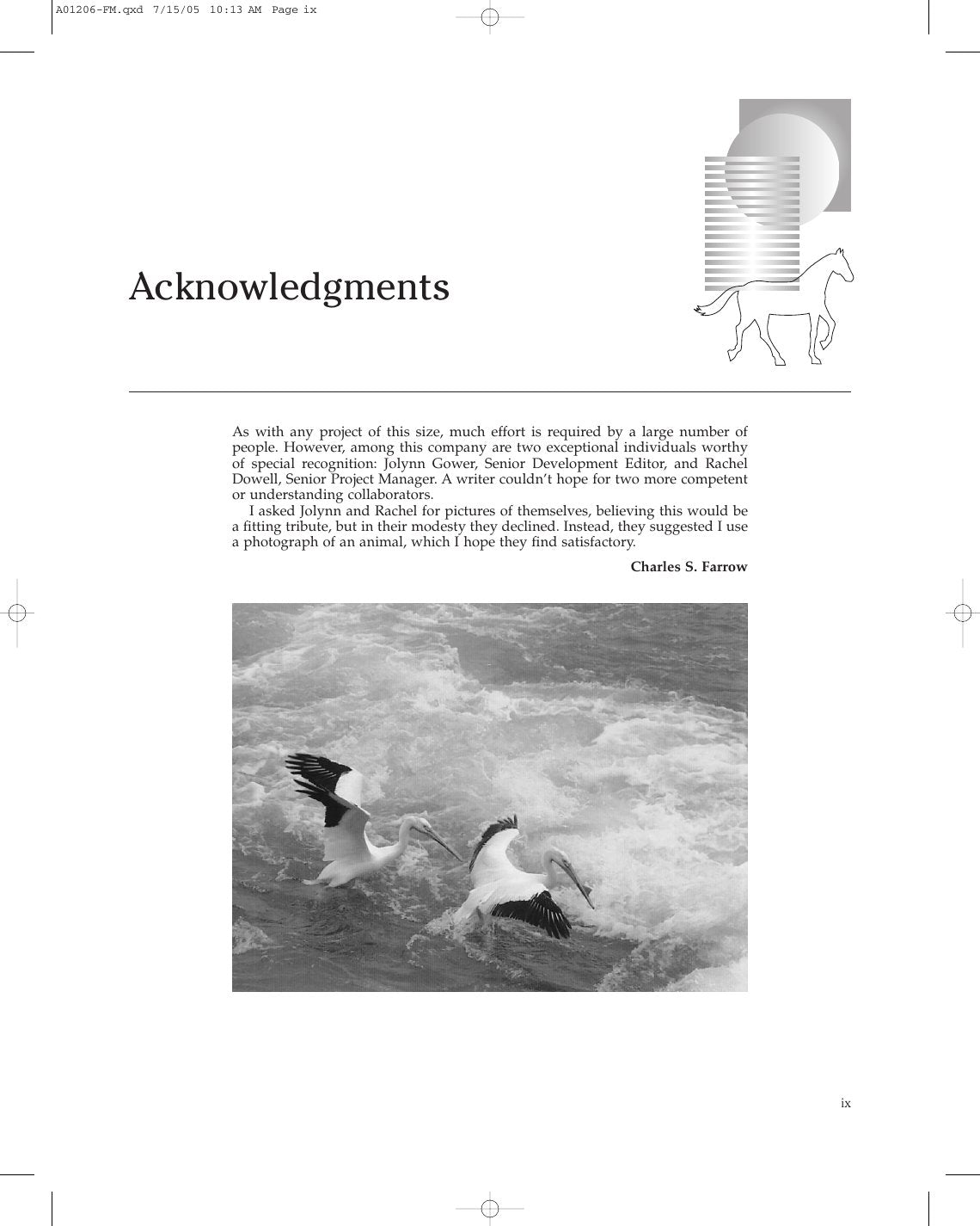 Look Inside page 6 - Veterinary Diagnostic Imaging The Horse
