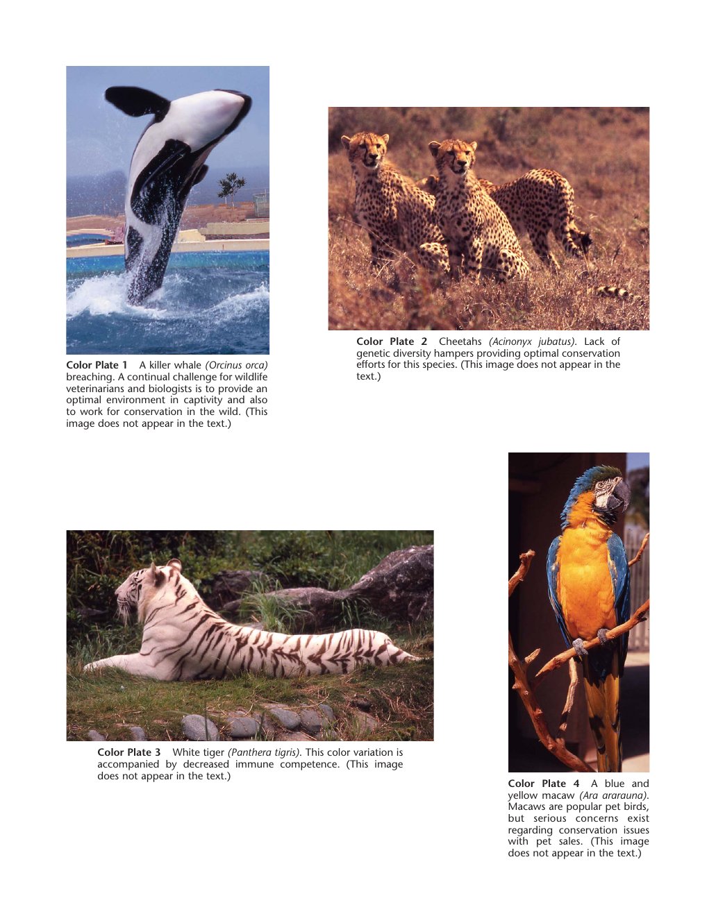 Look Inside page 9 - Zoo And Wild Animal Medicine Current Therapy 6Th Edition