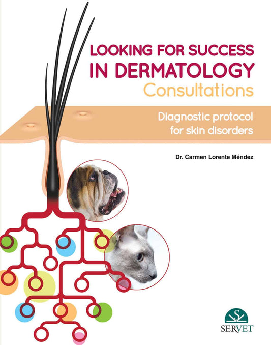 Looking For Success In Dermatology Consultations Diagnostic Protocol For Skin Disorders